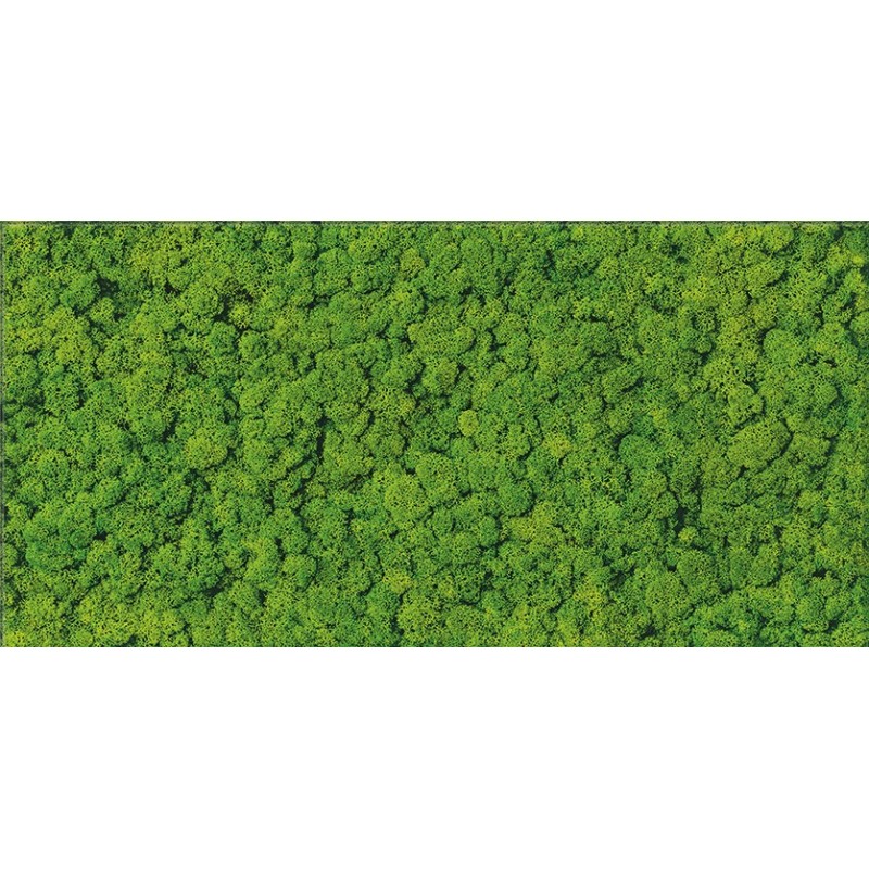 Cersanit Fresh Moss Glass Inserto 29x59 dekor