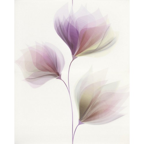 Cersanit Loris White Inserto Flower 40x50 dekor szett (2 db)